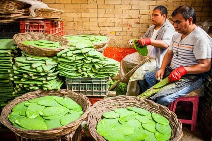 La Merced market, nopales shop, Mexico City, Mexico