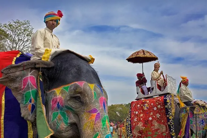 Elephant Festival,Jaipur, Rajasthan, India