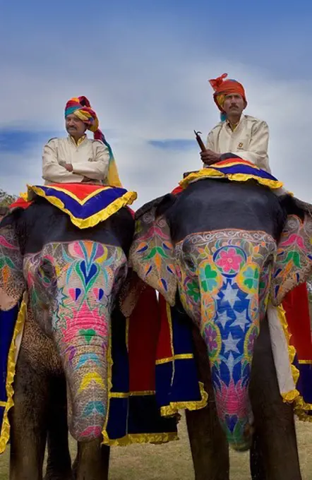 Elephant Festival,Jaipur, Rajasthan, India