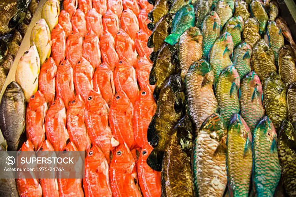 Close-up of raw fish on ice, Papeete, Tahiti, French Polynesia