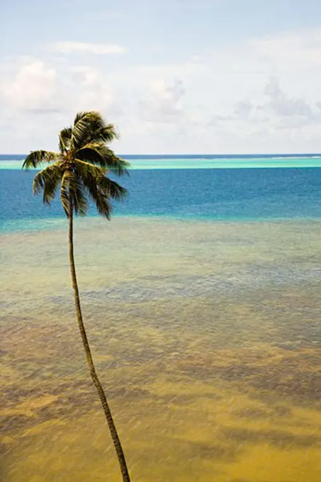 Panoramic view of the sea, Raiatea Island, Tahiti, French Polynesia