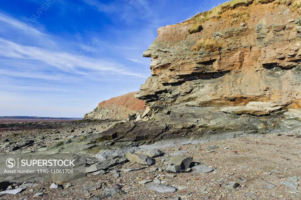 Joggins Fossil Cliffs where Bay of Fundy tides expose fossils from the Coal Age's carboniferous forests dating 300 million years ago. Nova Scotia, Can...