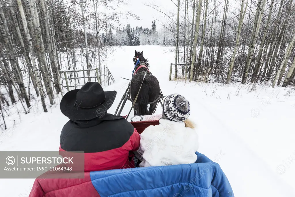 Canada, British Columbia, Cariboo Chilcotin region, sleigh ride, Christmas sleigh ride, winter, winter sleigh ride,