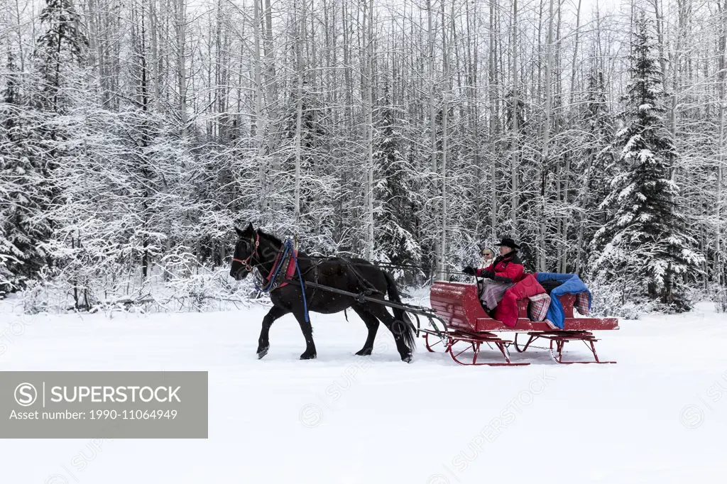 Canada, British Columbia, Cariboo Chilcotin region, sleigh ride, Christmas sleigh ride, winter, winter sleigh ride,