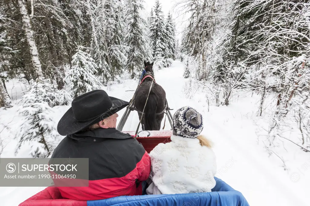 Canada, British Columbia, Cariboo Chilcotin region, sleigh ride, Christmas sleigh ride, winter, winter sleigh ride,