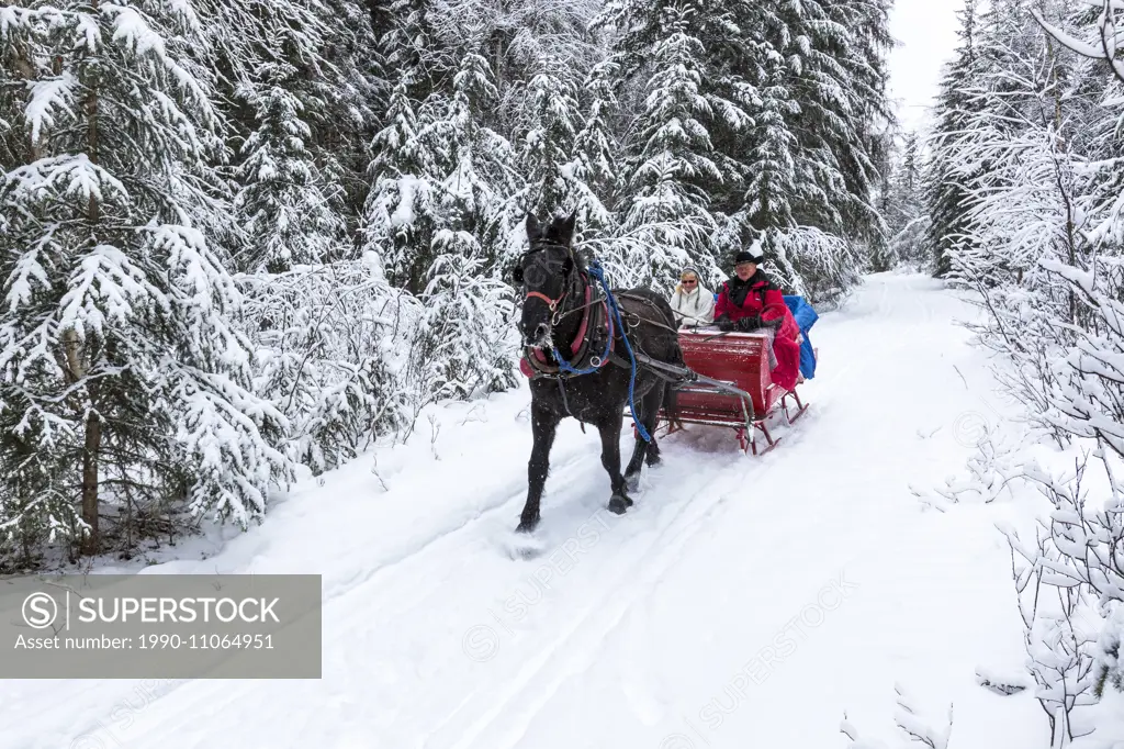 Canada, British Columbia, Cariboo Chilcotin region, sleigh ride, Christmas sleigh ride, winter, winter sleigh ride,