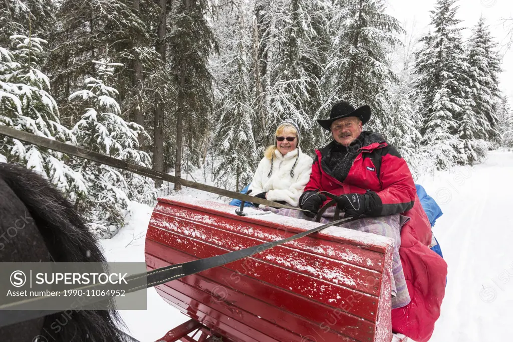 Canada, British Columbia, Cariboo Chilcotin region, sleigh ride, Christmas sleigh ride, winter, winter sleigh ride,