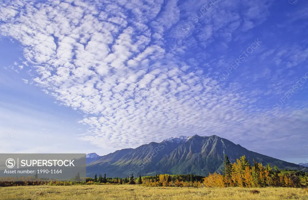 Mount Martha Black l and Mount Archibald r in fall colours, Kluane National Park, Yukon Territory, Canada