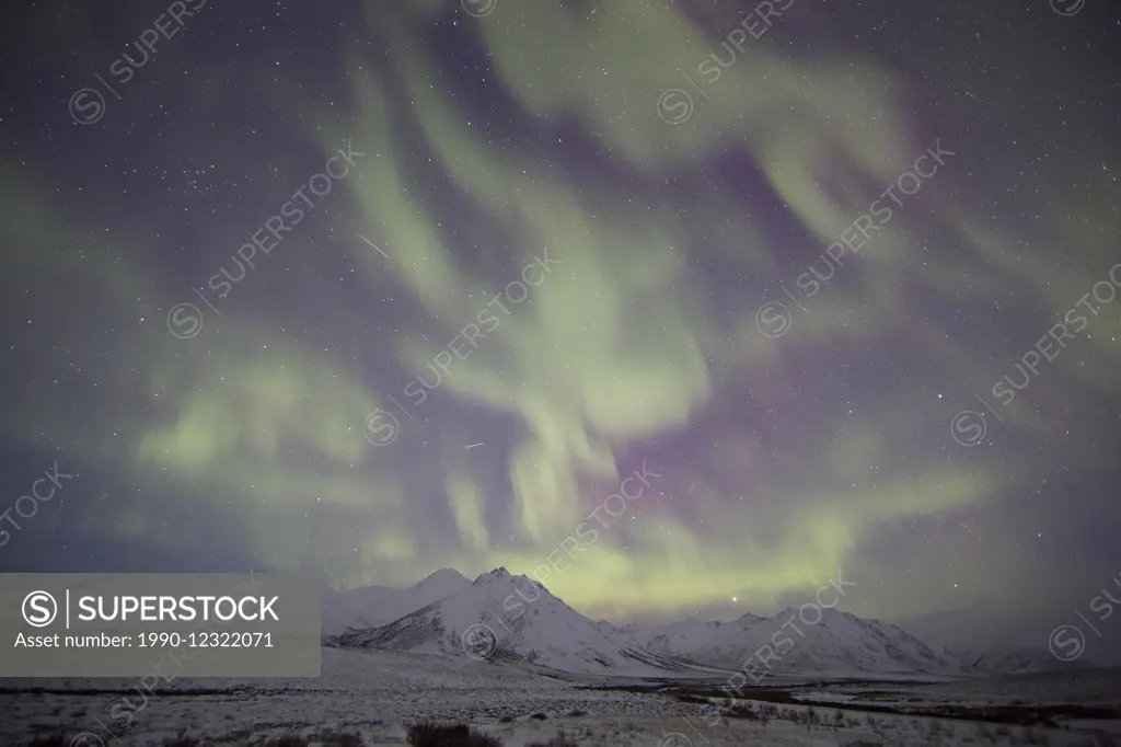 Northern lights or aurora borealis above the snow covered tundra along the Dempster Highway, Yukon.