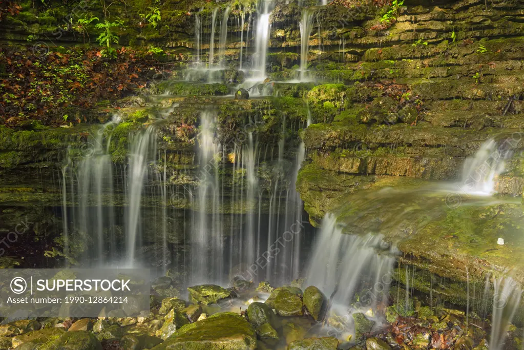 Waterfall on a tributary of Clark Creek, Buffalo National River- Lost Valley Trail, Arkansas, USA