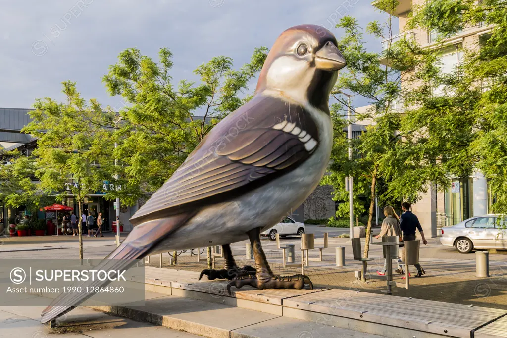 Giant Sparrow sculpture, 'The Birds' by artist Myfanwy MacLeod, Olympic Village Plaza, False Creek, Vancouver, British Columbia,