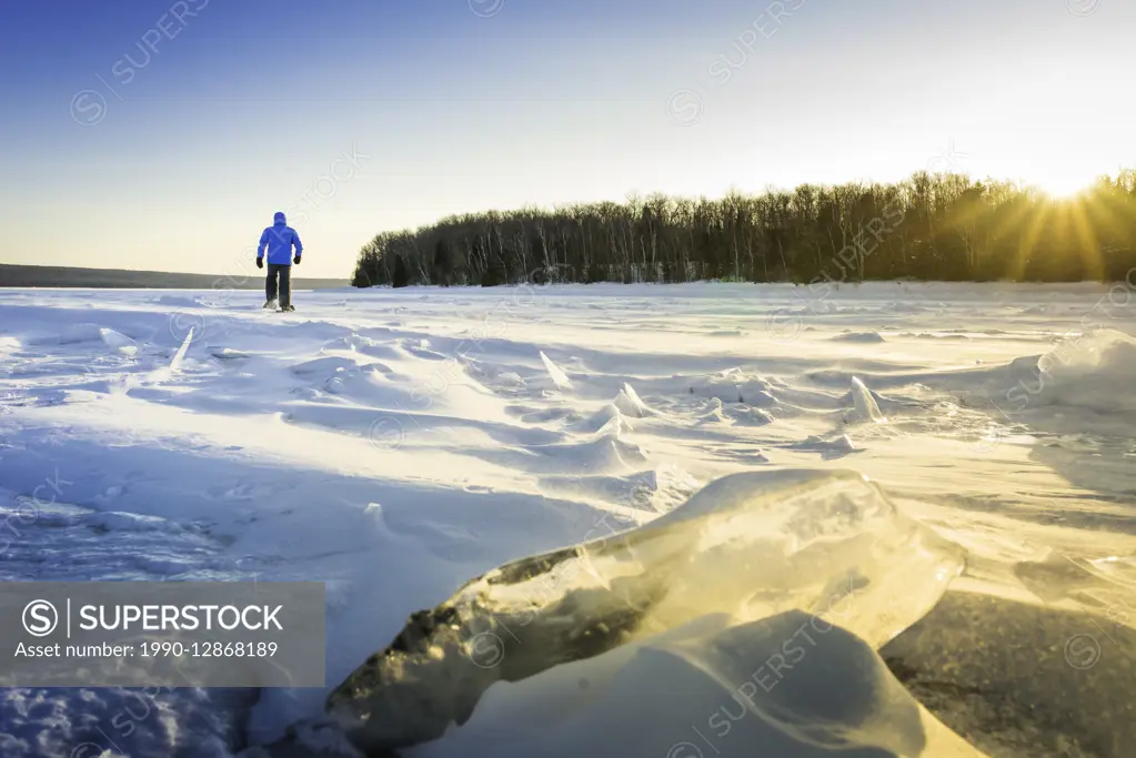 Man (40) snowshoeing across Georgian Bay, ON, Canada.