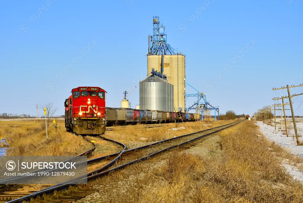 A Canadian National freight train loading grain cars at the grain storage silos near Morinville Alberta, Canada.