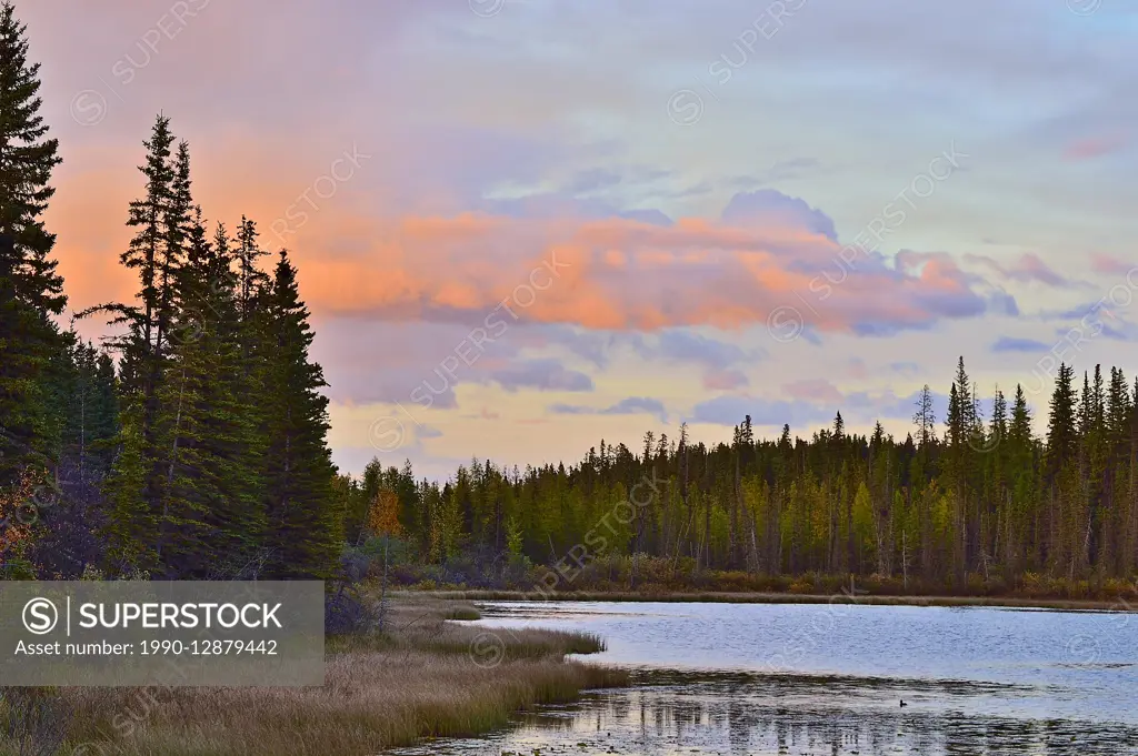 A pretty autumn landscape of Maxwell Lake near Hinton, Alberta, Canada at sunset