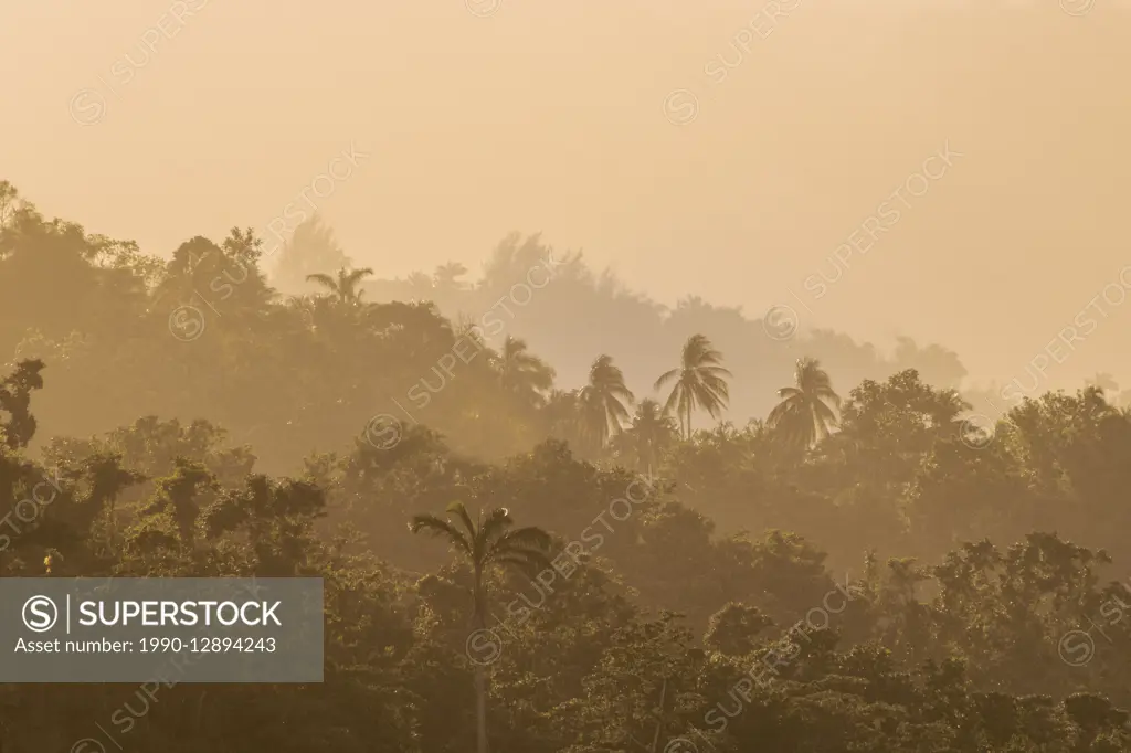 Lush tropical rainforest and haze in Port Antonio, Jamaica.
