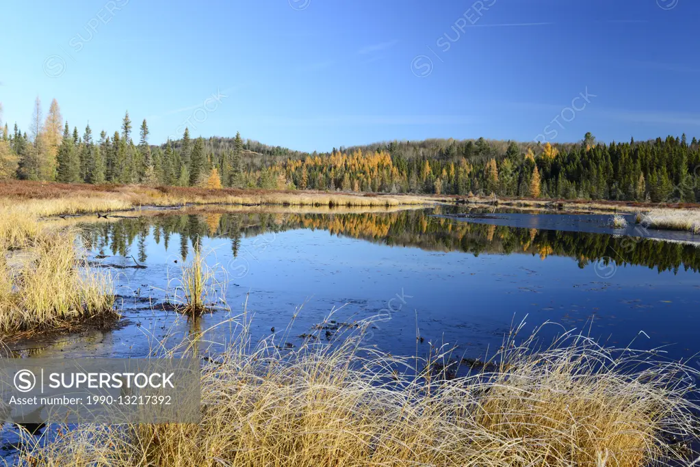 Costello Creek, Algonquin Park, Ontario, Canada