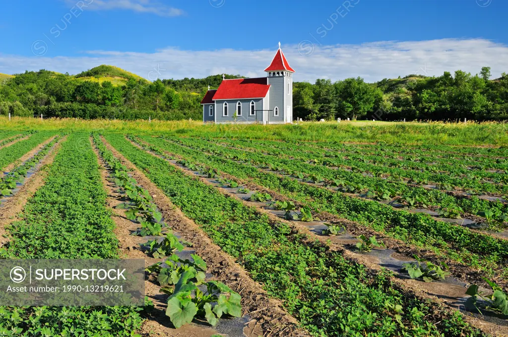 St. Nicholas Anglican Church and miniature pumpkins. Qu' Appelle Valley Craven Saskatchewan Canada