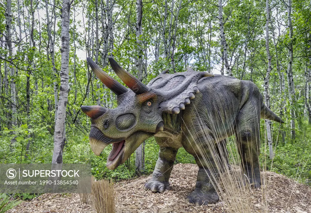 Mojoceratops at Dinosaurs Alive, life-size animatronic dinosaur, Assiniboine Park Zoo, Winnipeg, Manitoba, Canada.