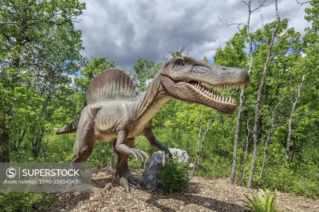 Spinosaurus at Dinosaurs Alive, life-size animatronic dinosaur, Assiniboine Park Zoo, Winnipeg, Manitoba, Canada.