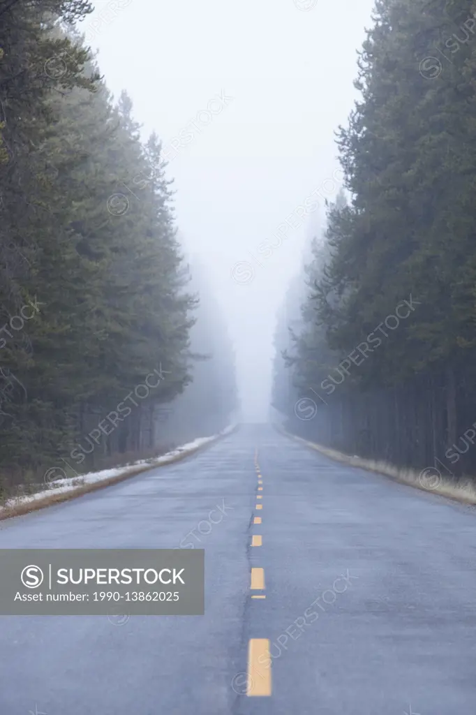 Bow Valley Parkway, Alberta, Canada