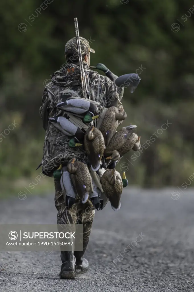 Duck hunter along Boundary Bay mud flats.