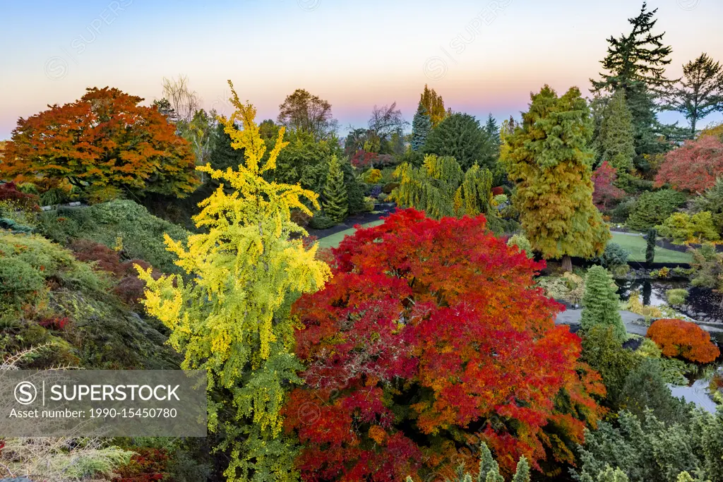 Fall colour, the Quarry Garden, Queen Elizabeth Park, Vancouver, British Columbia, Canada