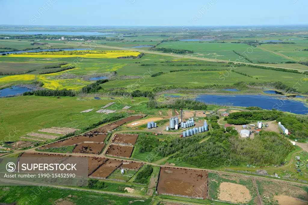 aerial, farm, feedlot, Duck Lake, Saskatchewan