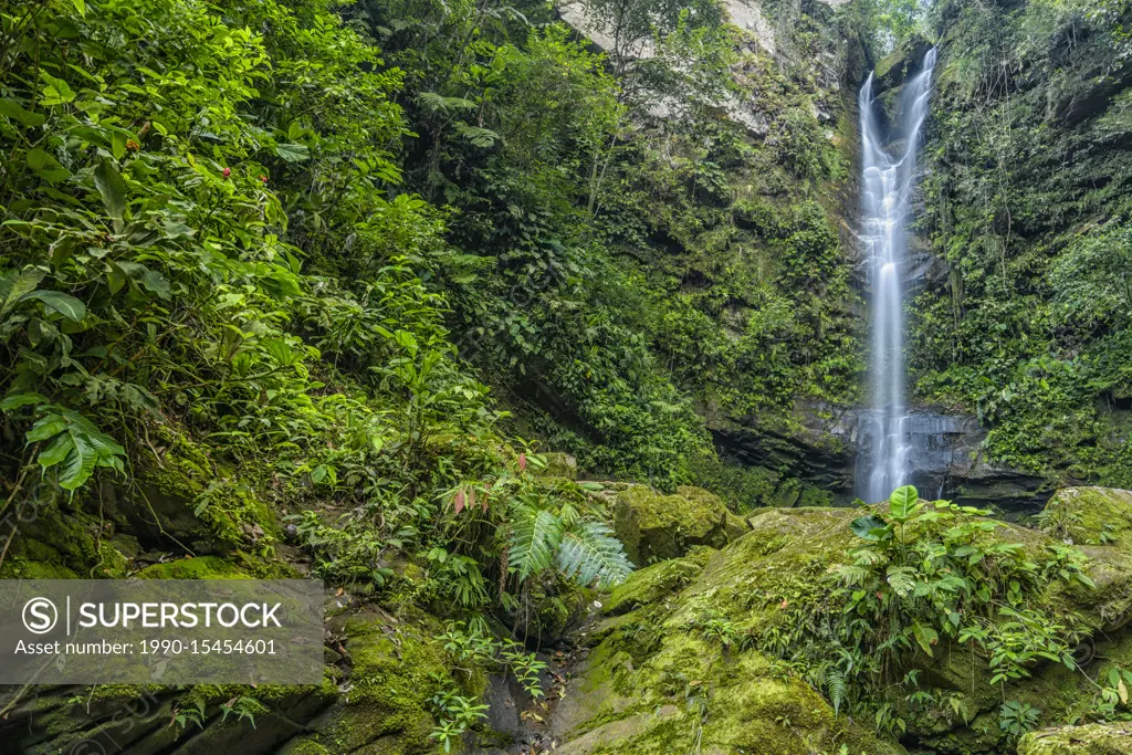 The Ahuashiyacu Waterfall in the foothills of the Andes Mountains within the Cordillera Escalera of the Amazon Rainforest near Tarapoto, Peru.