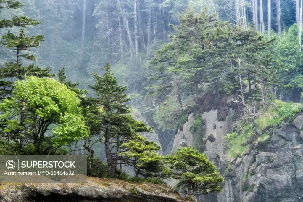 Cape Flattery, Pacific Northwest, Washington State, USA