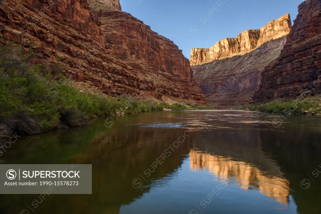 Grand Canyon cliff reflections in the Colorado River at daybreak (Georgie's Camp Mile 20), Grand Canyon National Park, Arizona, USA