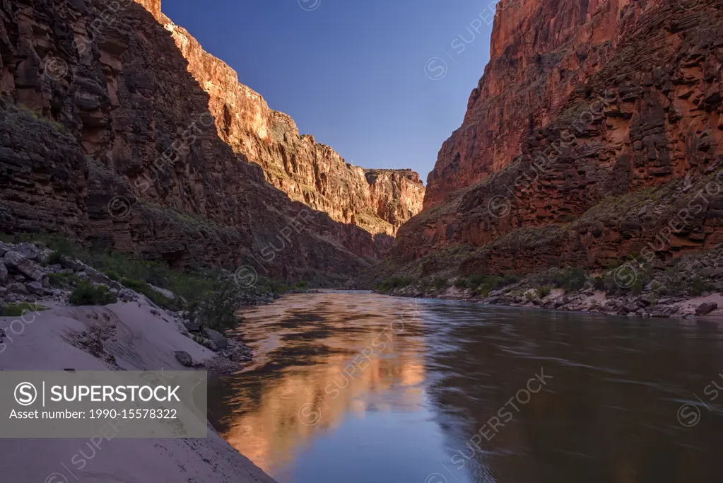 Grand Canyon cliff reflections in the Colorado River, Grand Canyon National Park, Arizona, USA