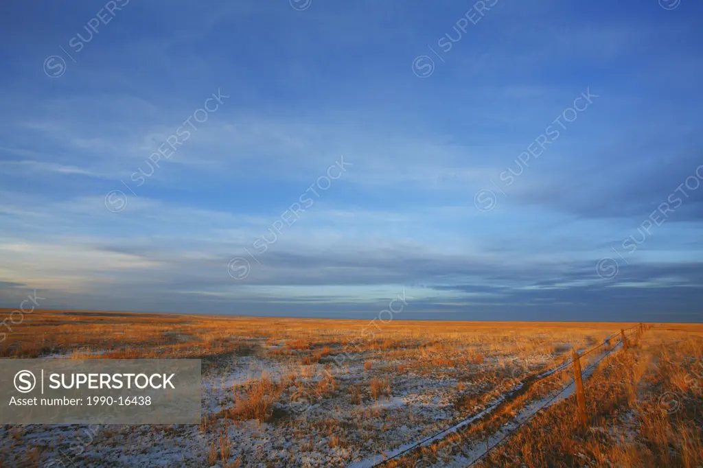 Nashlyn Community Pasture south of Govenlock and Consul in southwestern Saskatchewan, Canada