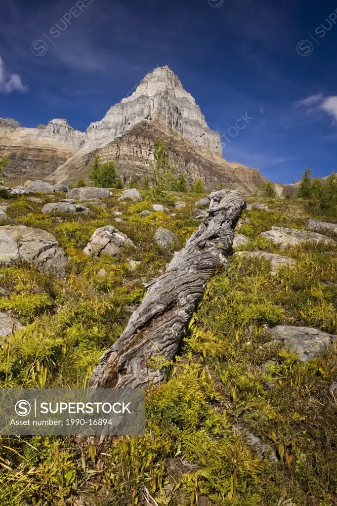 Sentinel Pass, Valley of the Ten Peaks, Larch Valley, Banff National Park, Alberta, Canada