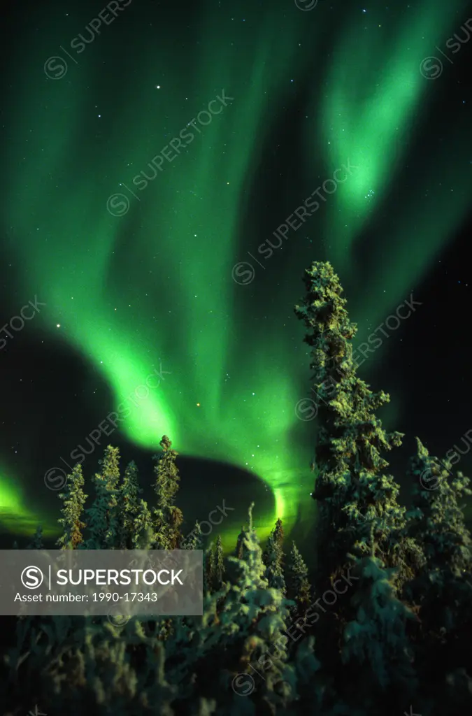 Aurora Borealis or Northern Lights, Yukon.