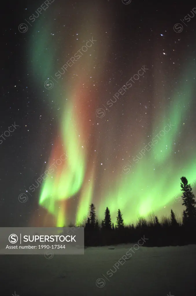 Aurora Borealis or Northern Lights, Northwest Territories