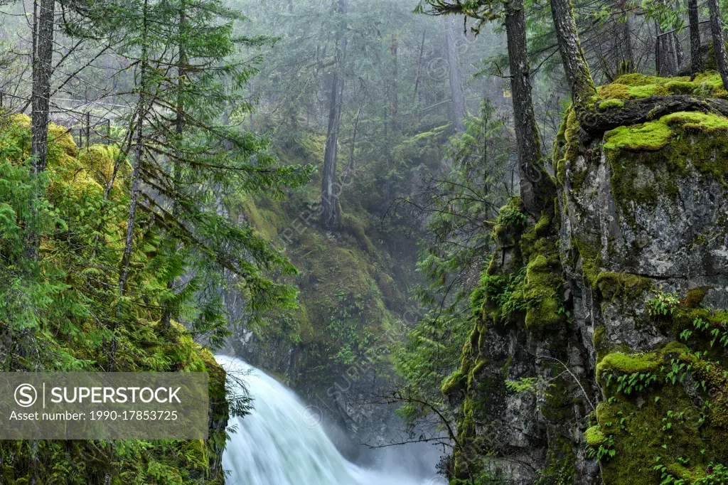 Little Qualicum Falls Provincial Park, Parksville, Vancouver Island, BC, Canada