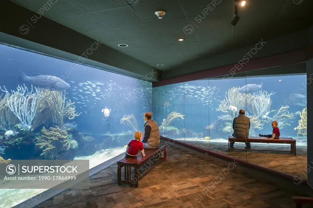 Father and son visiting aquarium in Hamilton, Bermuda