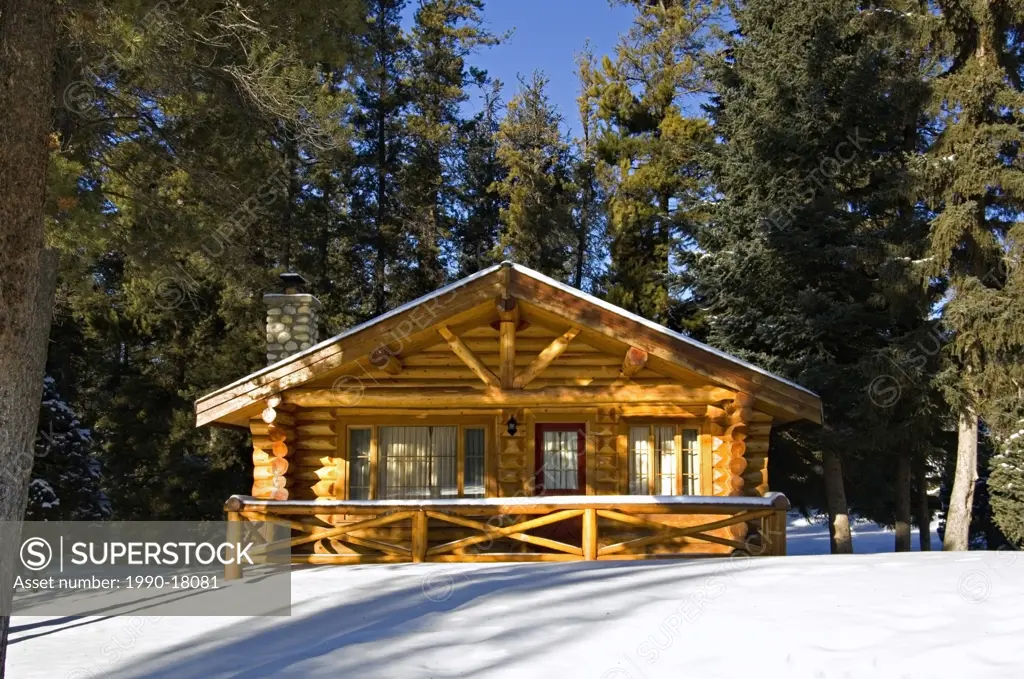 A winter scenic of the front of a log cabin on a bright sunny winters day.