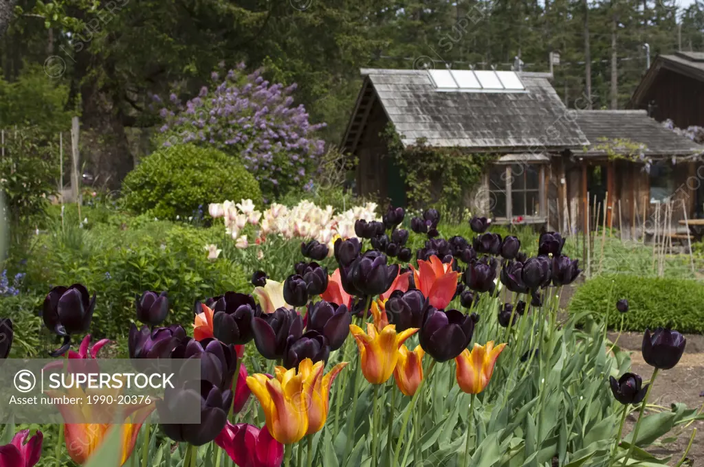 Garden at Hollyhock educational retreat centre, Cortes Island, BC, Canada