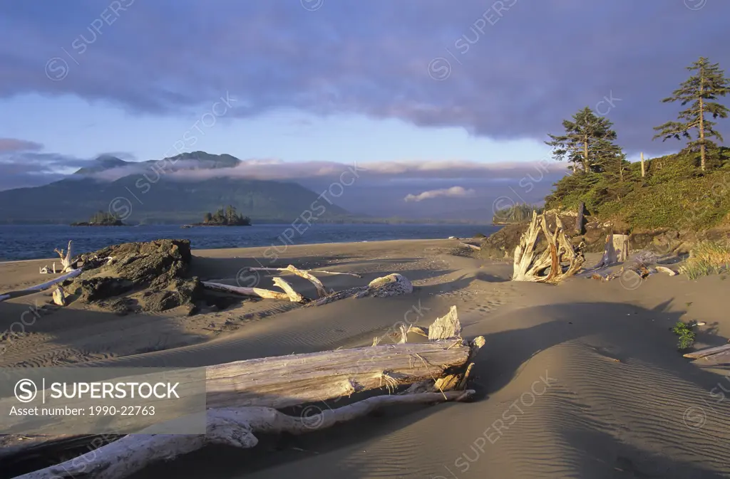 Clayoquot Sound, Whaler Island, sand dunes and grasses, Vancouver Island, British Columbia, Canada