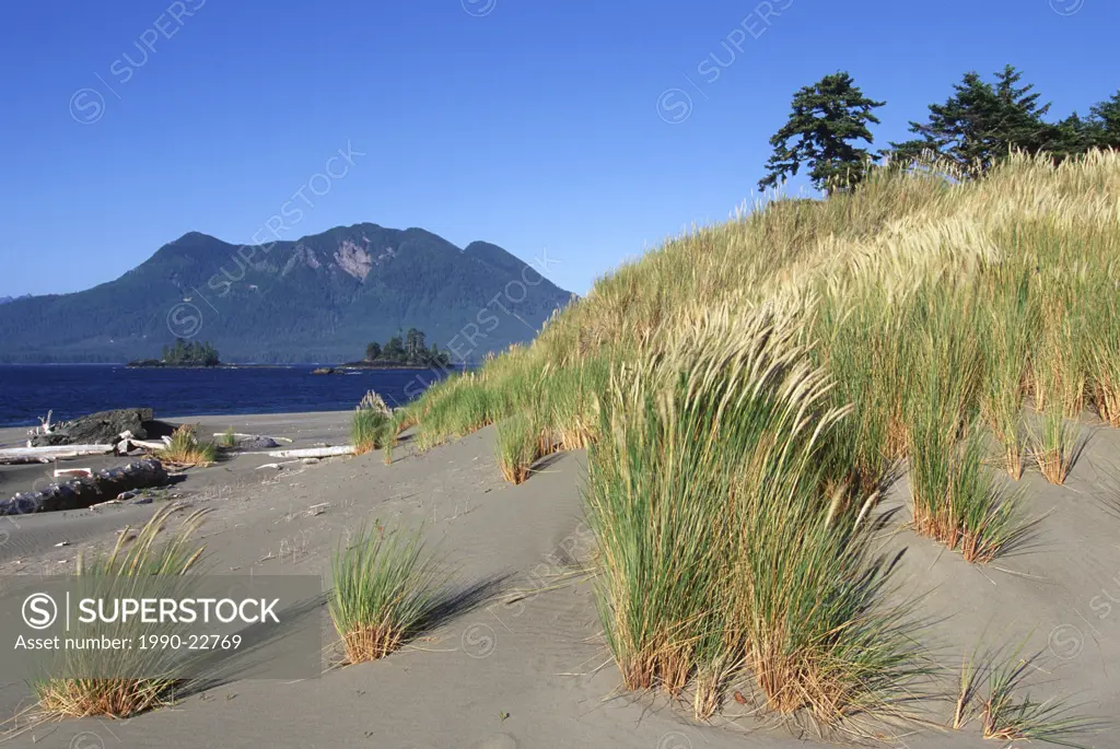 Whaler Island, sand dunes and grasses, Clayoquot Sound, Vancouver Island, British Columbia, Canada