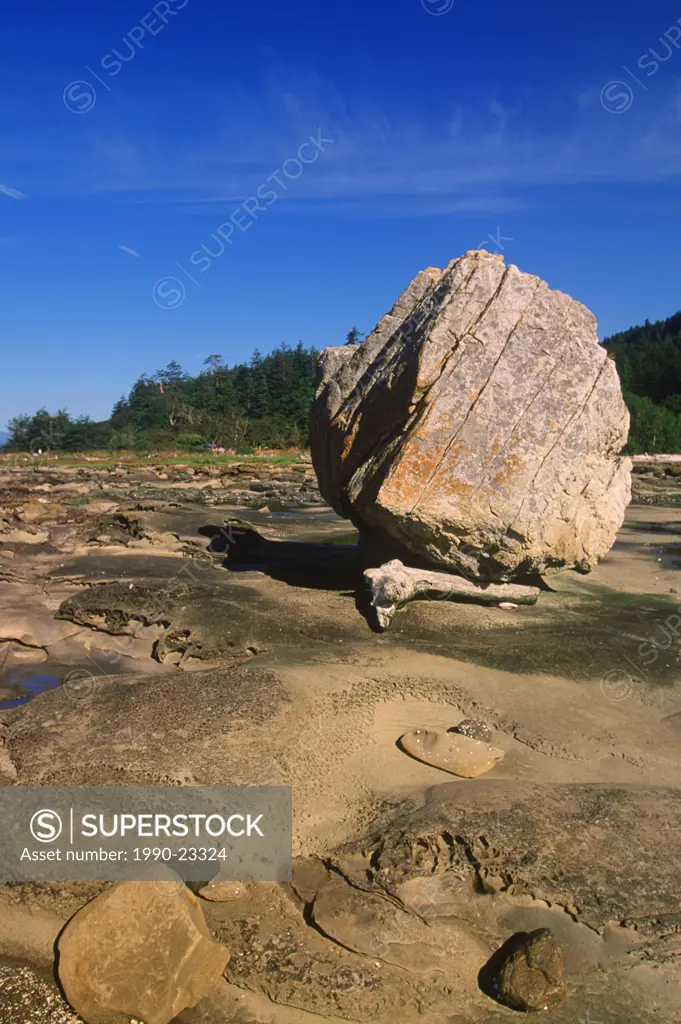 Hornby Island in Gulf Islands, sandstone seashore with erosion patterns, Heron Rocks, near Ford Cove, British Columbia, Canada