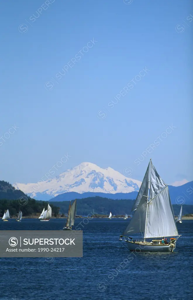 Sidney vista, with gaff rigged sail race and Mt Baker, Vancouver Island, British Columbia, Canada