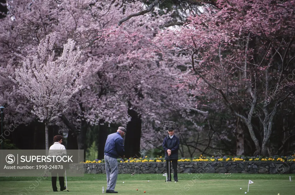 retired couple puts on practice green in Beacon Hill Park, Victoria, Vancouver Island, British Columbia, Canada