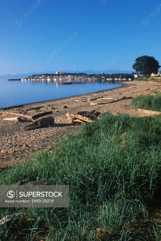 Oak Bay, Willows beach and oak bay marina, Victoria, Vancouver Island, British Columbia, Canada