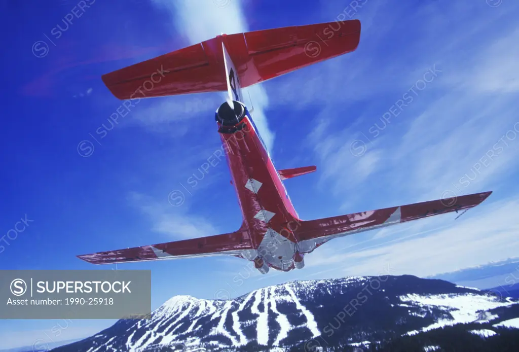 Snowbird flight near Mount Washington, British Columbia, Canada