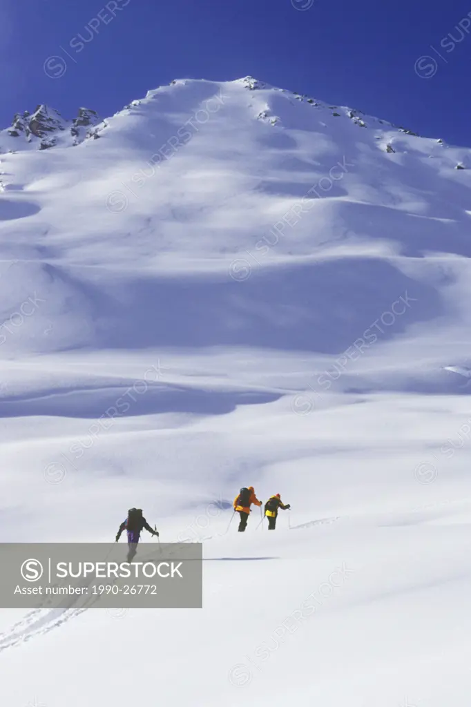 Skiers ski touring in Ursus Minor Basin, Rogers Pass, Glacier National Park, British Columbia, Canada