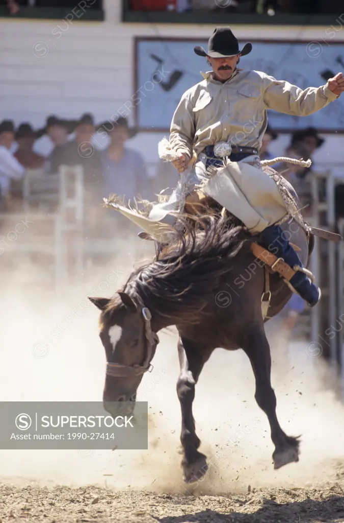 Bronco rider, Kispiox Valley rodeo, British Columbia, Canada