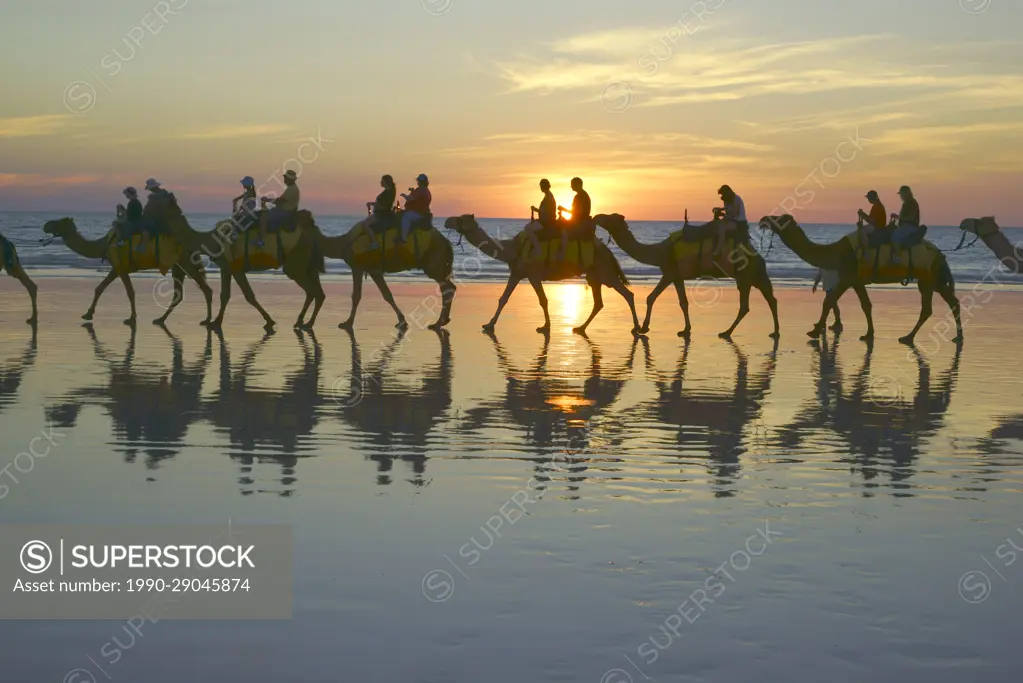 Camel Train on Beach, Cable Beach, in Broome, Western Australia, Tourist camel ride. 