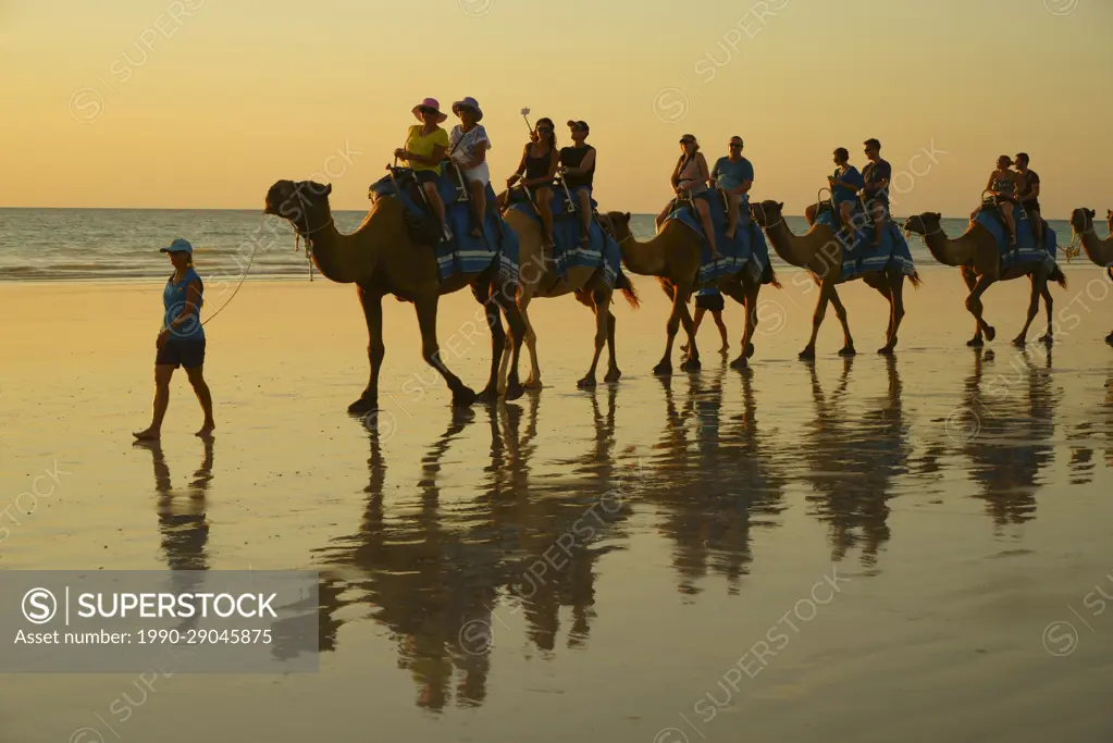 Camel Train on Beach, Cable Beach, in Broome, Western Australia, Tourist camel ride. 